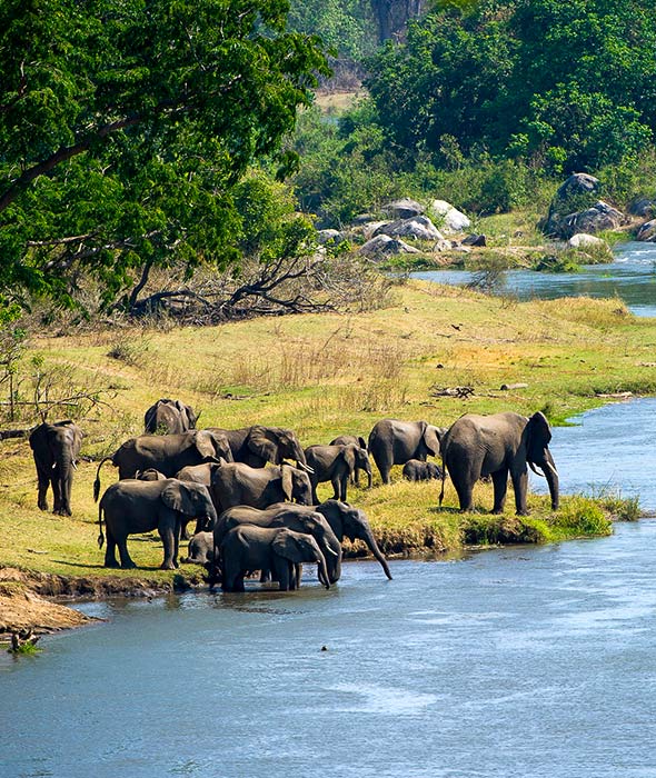 Explore-Malawi-Privat-Geführte-Safaris-Bezahlung-05