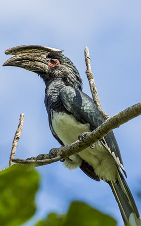 Explore-Malawi-Privat-Geführte-Safaris-Reiseroute