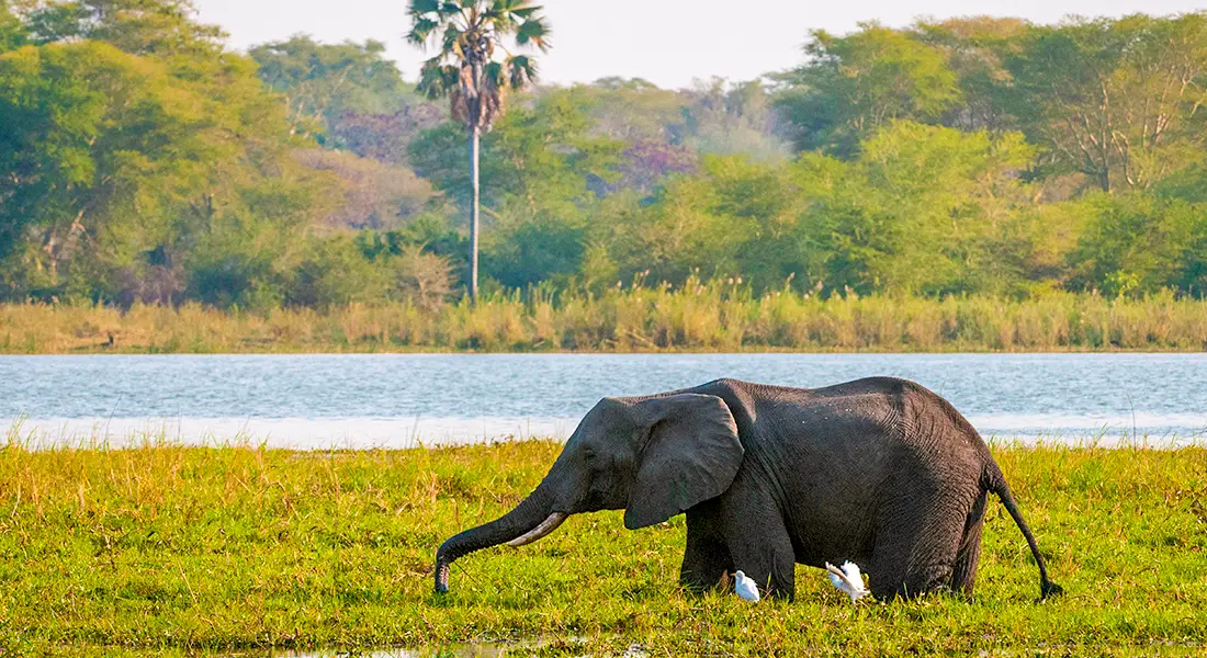 Kontaktiere uns für maßgeschneiderte private geführte und Selbstfahrer-Touren in Malawi