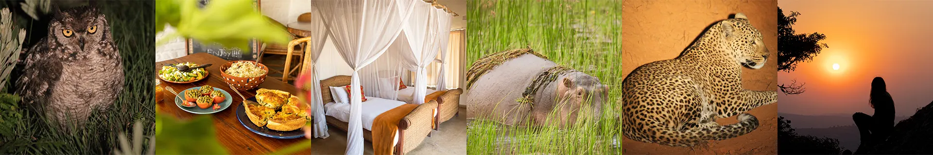Guided-Safari-Add-On-South Luangwa-National-Park-Zambia-footer