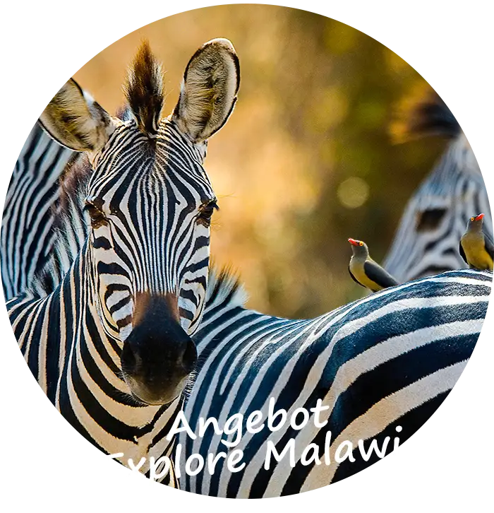 Angebot von Explore Malawi
