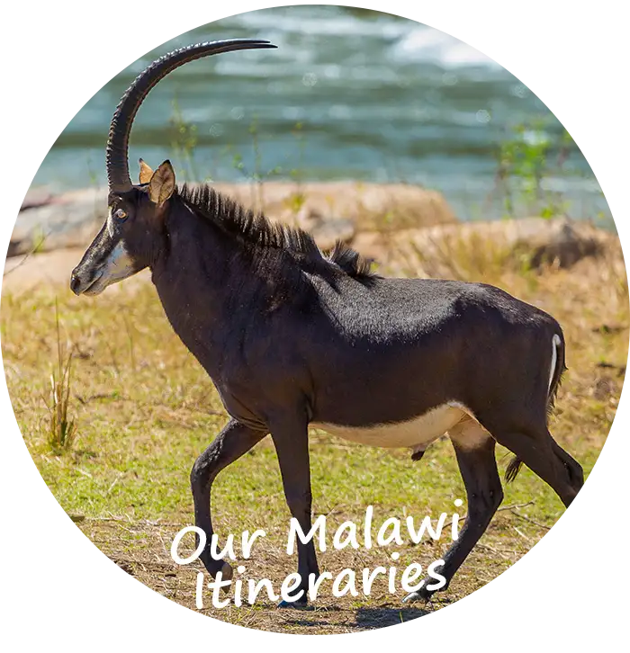 Explore-Malawi-Our-Self-Drive-Guided-itineraries