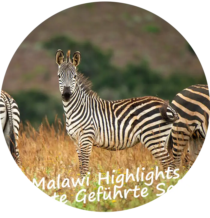 Namibia Private geführte Safari Route Höhepunkte Malawi