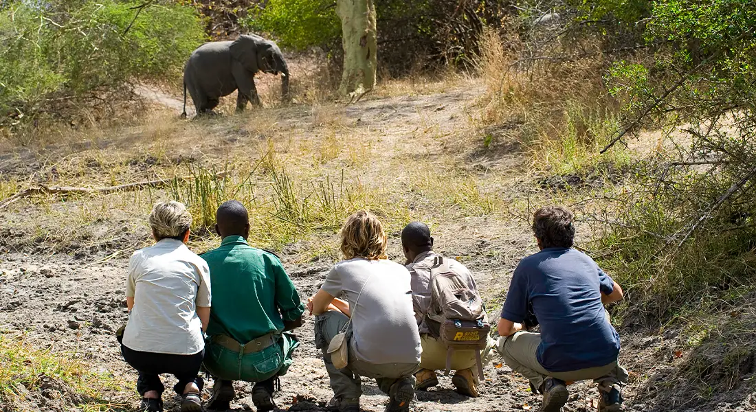 What-to-Visit-in-Malawi